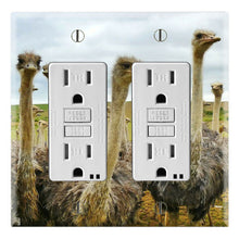 Load image into Gallery viewer, Ostriches Family