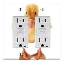 Load image into Gallery viewer, Baby Duckling White Background