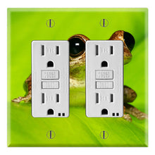 Load image into Gallery viewer, Cuban Tree Frog