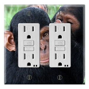 Chimpanzee Brothers Love