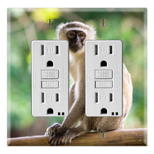 Load image into Gallery viewer, Vervet Monkey Wildlife