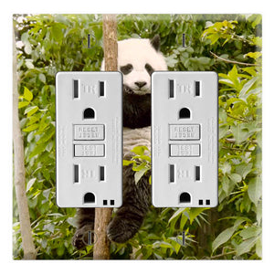 Panda Climbing Wildlife