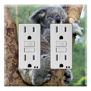 Koala Sleeping on Tree