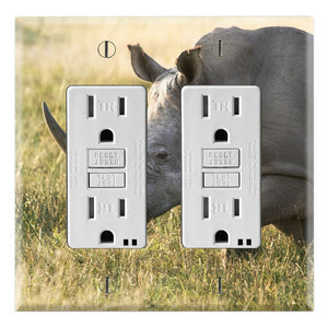 Two Horned Rhino Rhinoceros