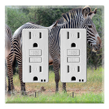 Load image into Gallery viewer, Zebra Family