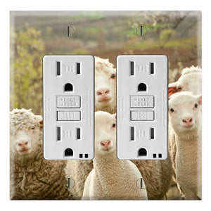Merino Sheep Herd Family