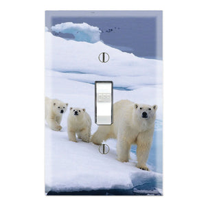 Polar Bear Ice Bears Arctic Life