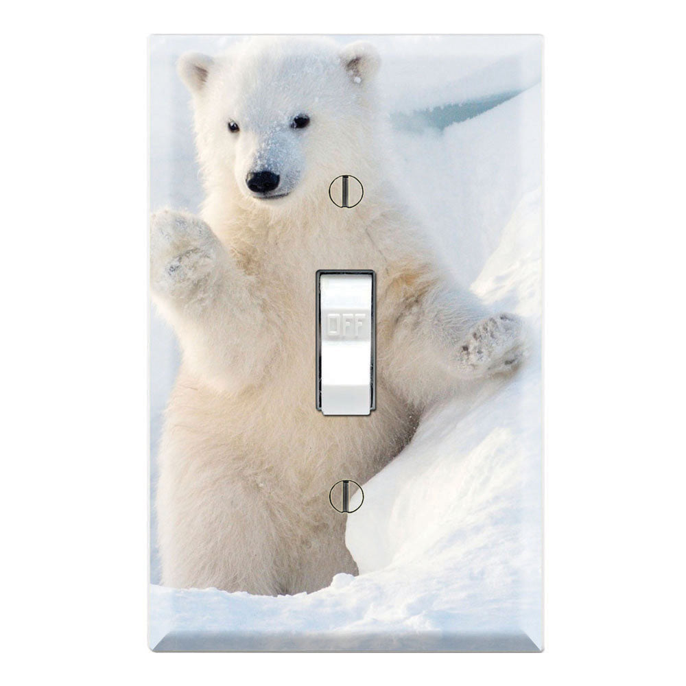 Polar Bear Cub in Snow