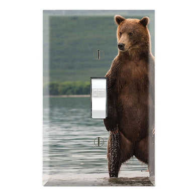 Grizzly Bear Standing River