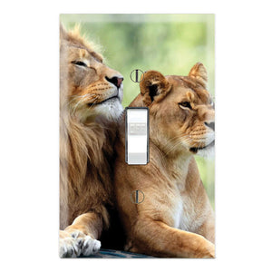 Lion Lioness Couple Love Family