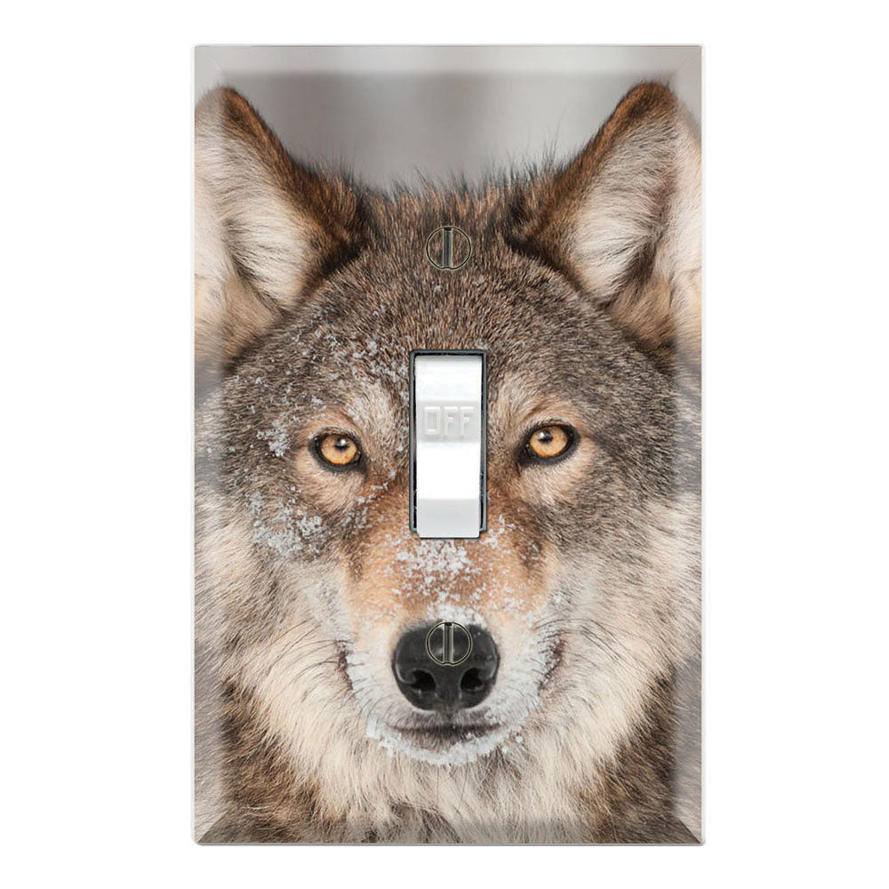 Alfa Grey Wolf