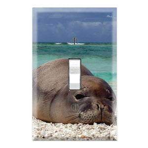 Hawaiian Monk Seal