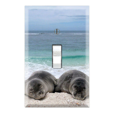 Hawaiian Monk Seal on the Beach