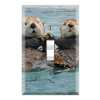 Sea Otters Holding Hands