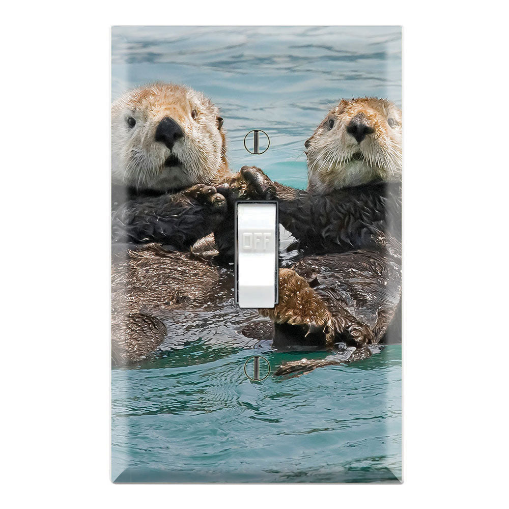 Sea Otters Holding Hands