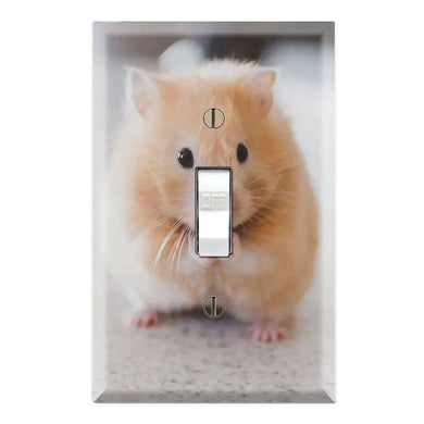 Cute Hamster Pup