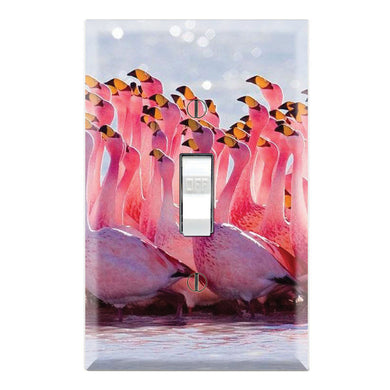 Pat Flamingos Flamboyance
