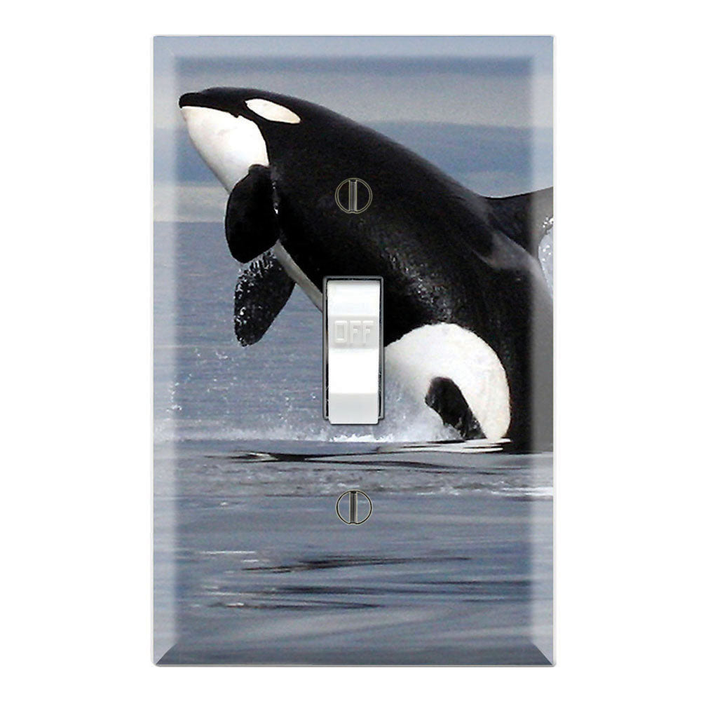 Orca Killer Whale Jumping out of Water