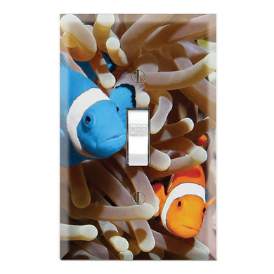 Blue Clownfish Anemone