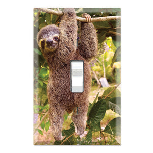 Wildlife Sloths Hanging