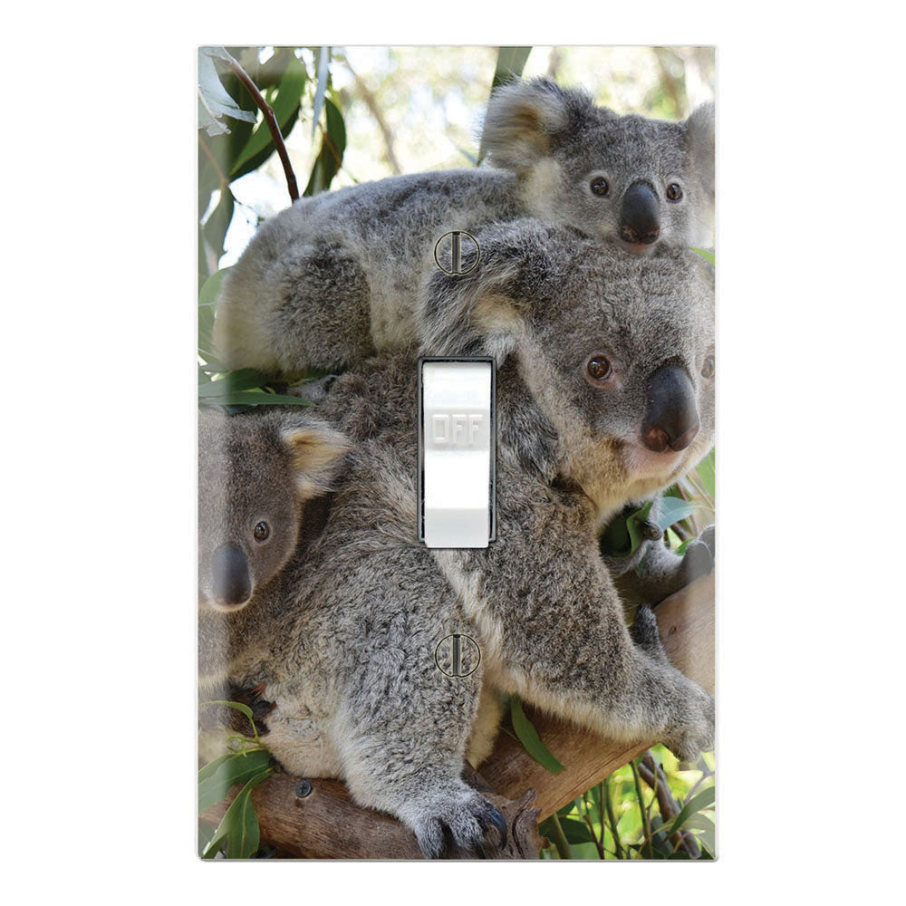 Koala Family Love Baby Joey