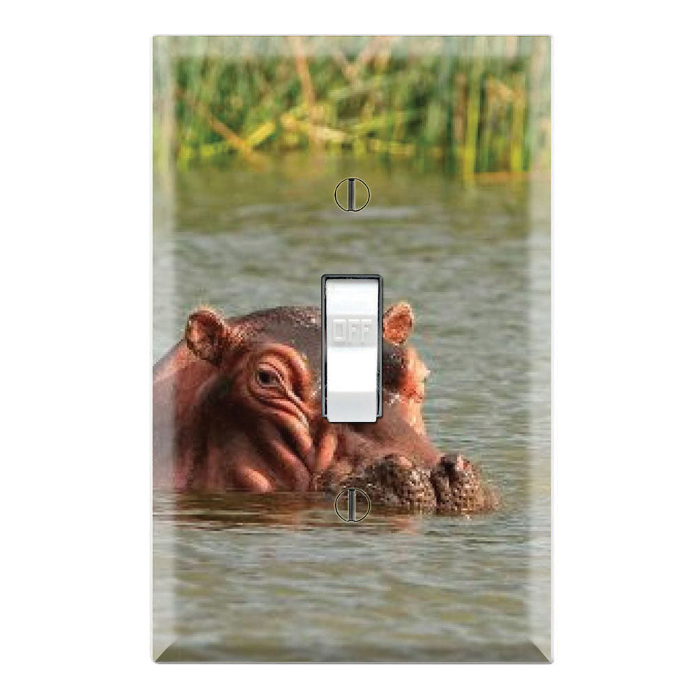 Hippopotamus Submerged Hippo