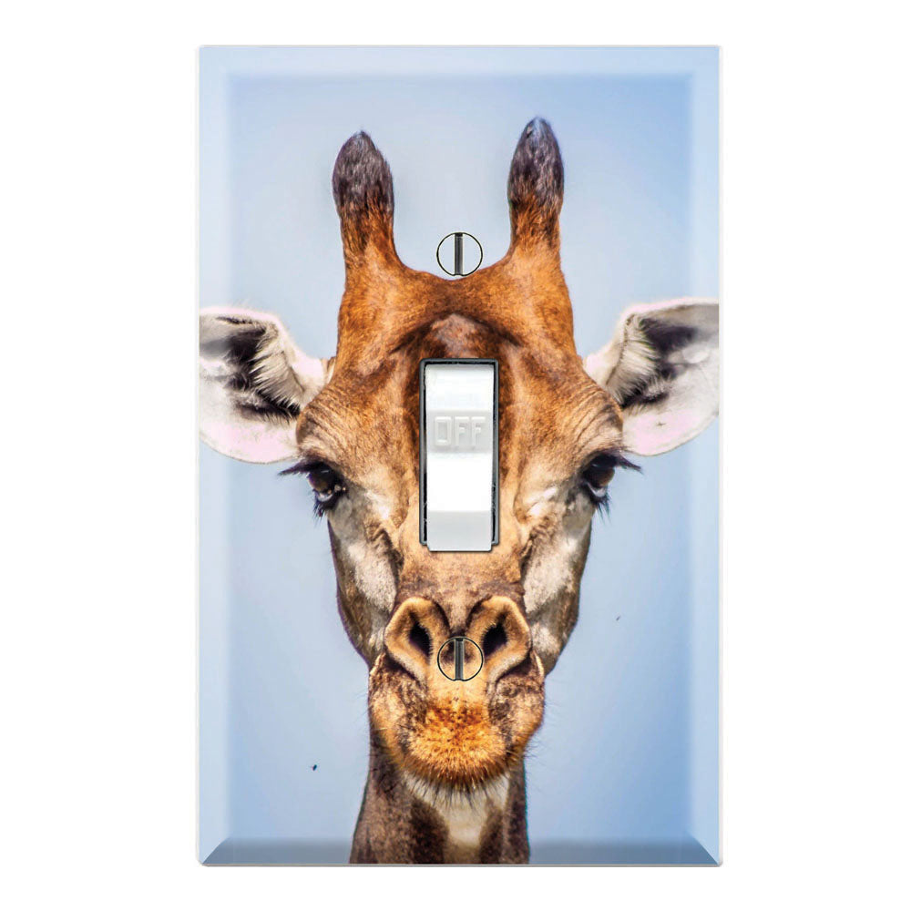 Giraffe Portrait Cute