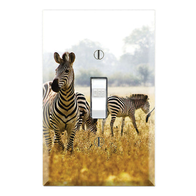 Zebra Group Herd