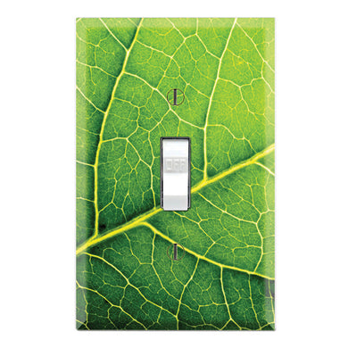 Green Leaf Texture Wallpaper Print