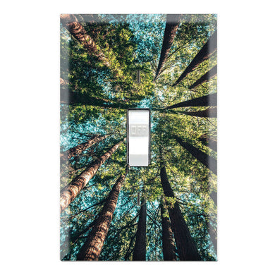 Forest Trees Nature View Wallpaper Print