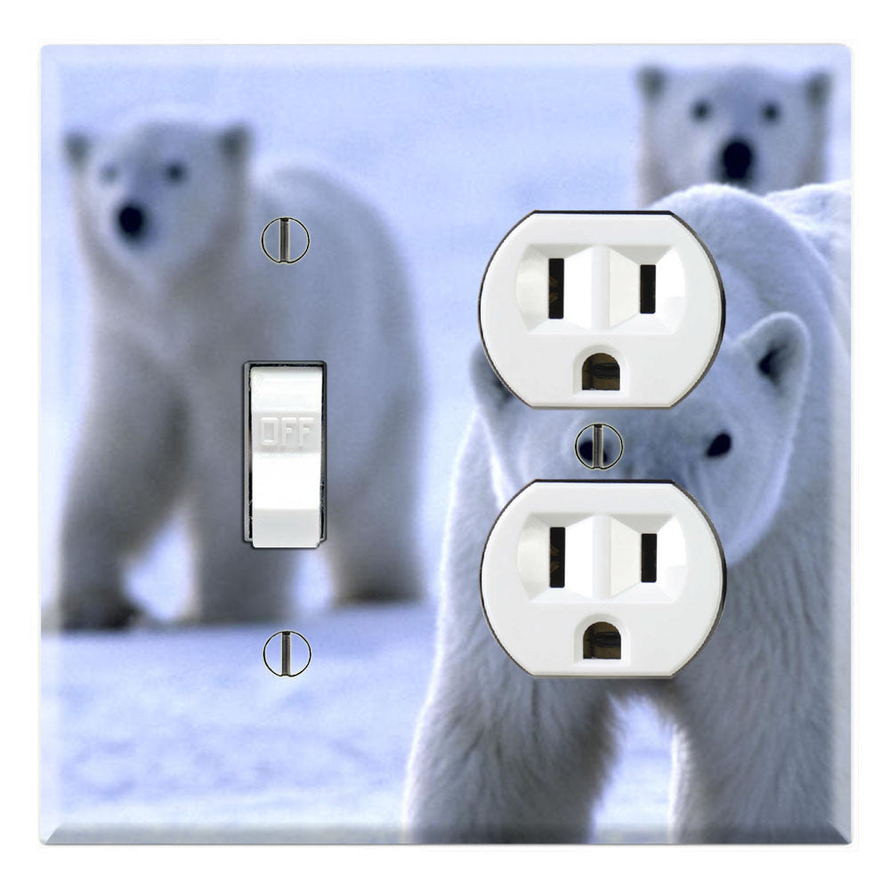 Poar Bear Family Arctic
