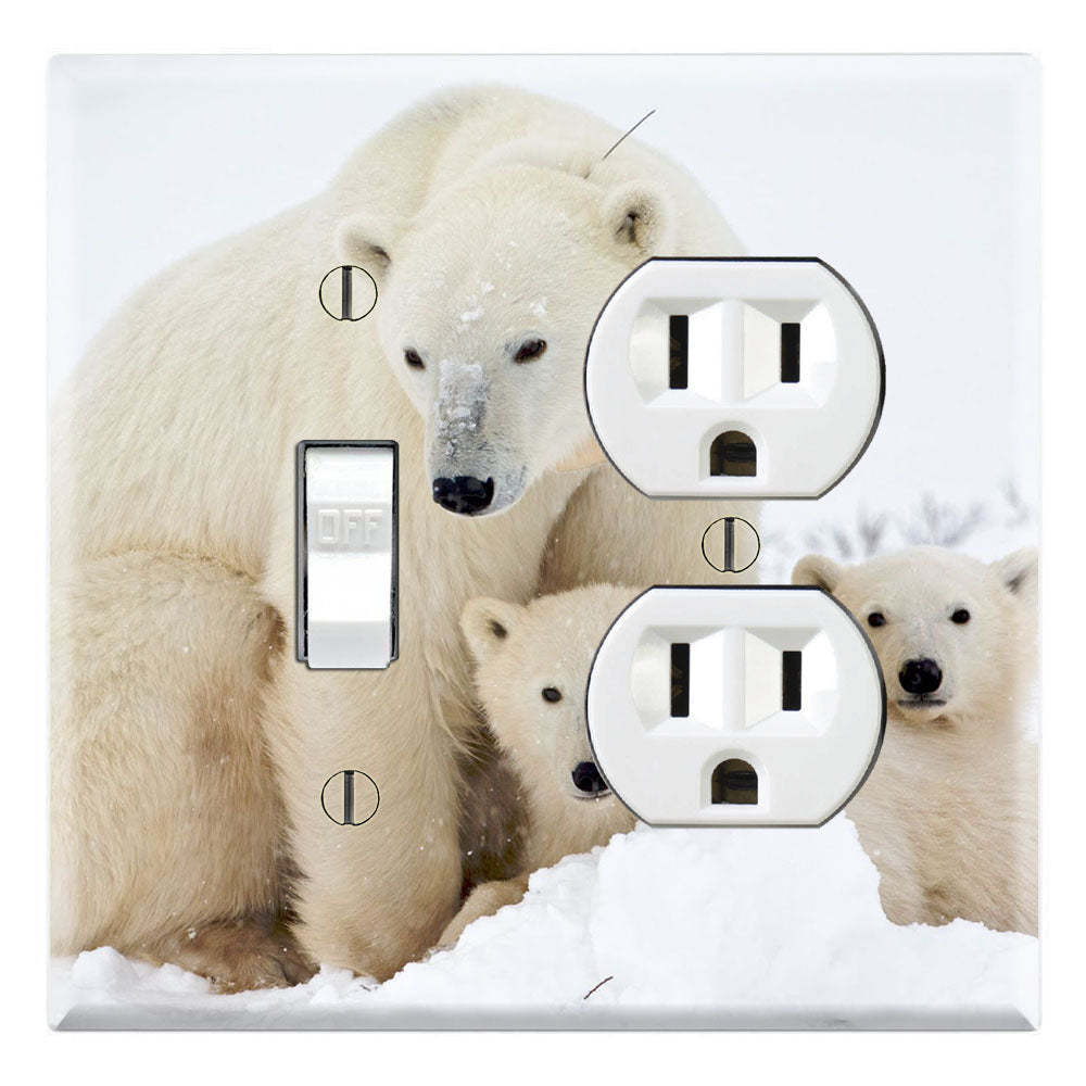Polar Bear Family in Snow Arctic