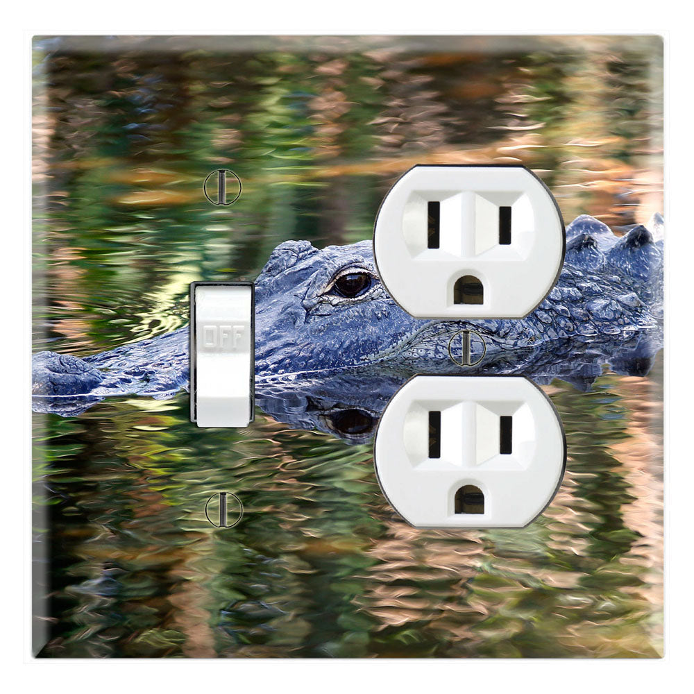 Alligator in Swamps