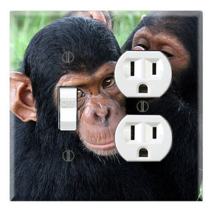 Chimpanzee Brothers Love
