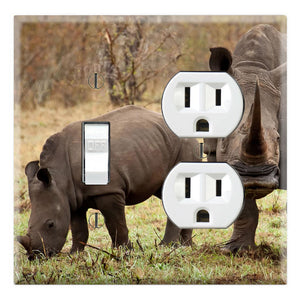 Rhinoceros Wildlife Rhinos